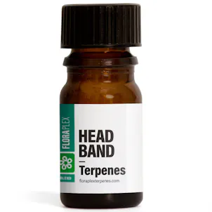 Photo of Headband Terpenes